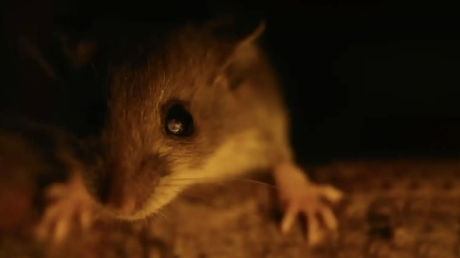 کابوس های طبیعت (فصل 1 قسمت 3)